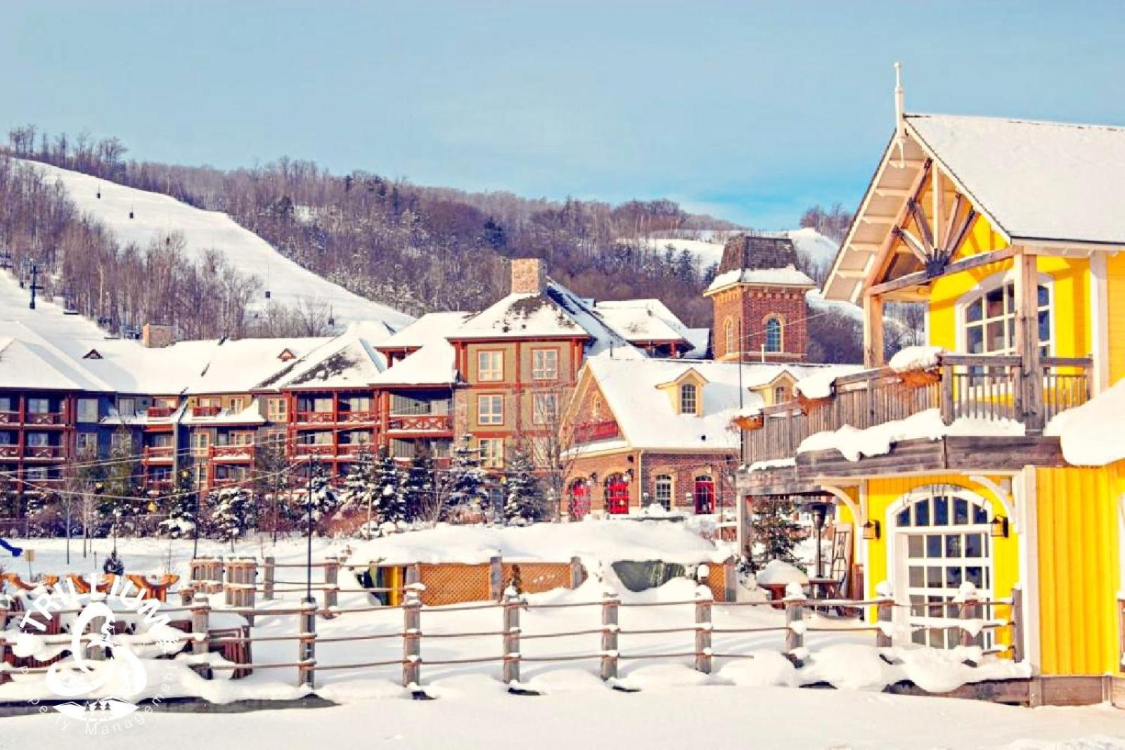 Blue Mountain, Collingwood - Loft Condo, Sleeps 4 Блу-Маунтинс Экстерьер фото