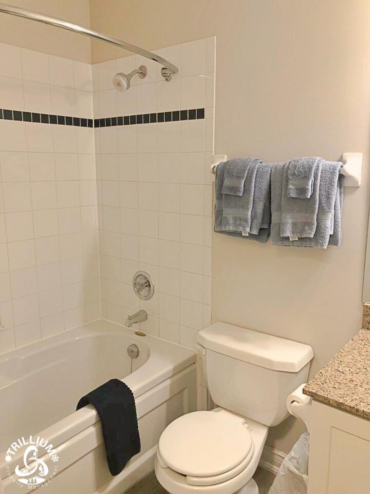 Blue Mountain, Collingwood - Loft Condo, Sleeps 4 Блу-Маунтинс Экстерьер фото