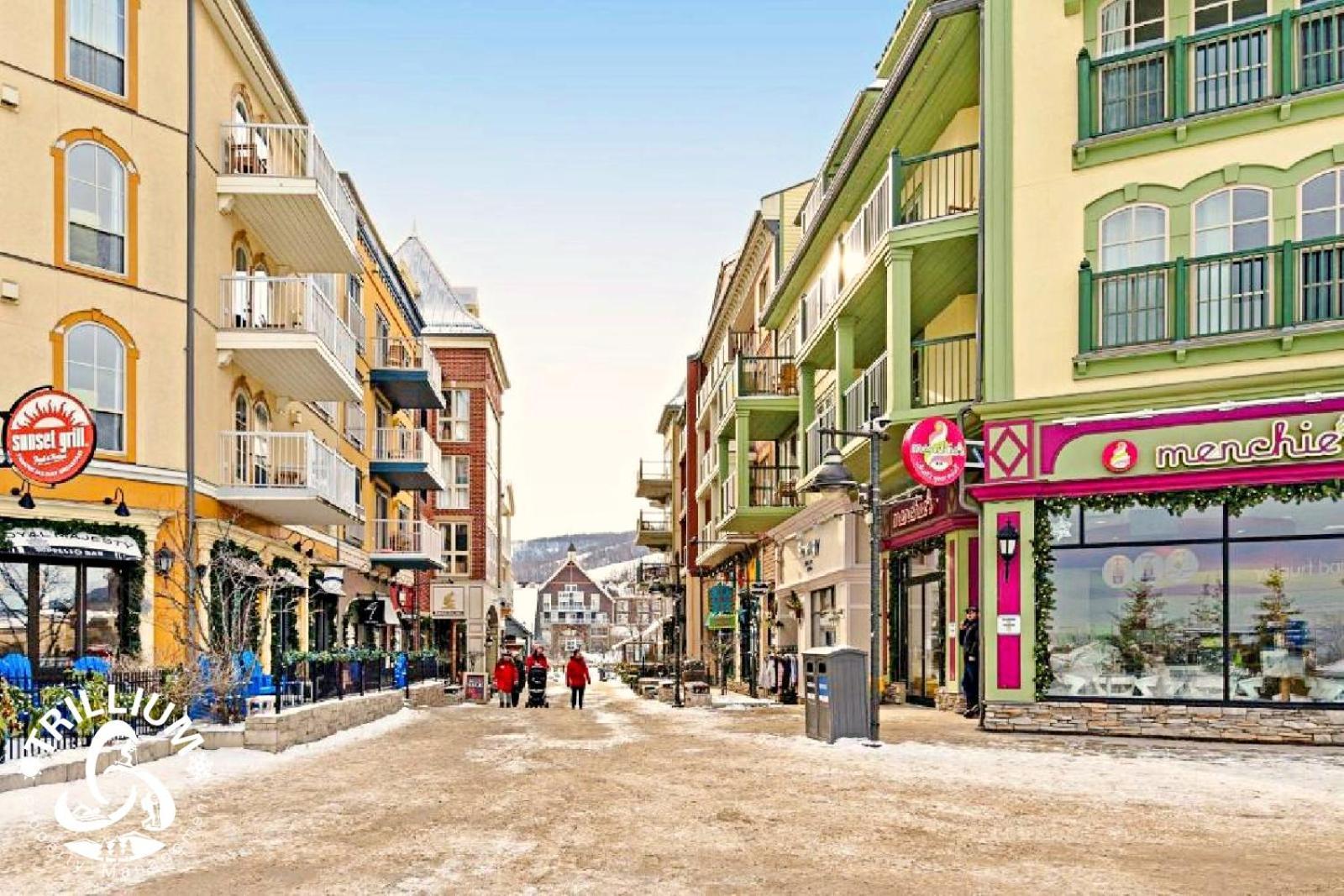 Blue Mountain, Collingwood - Loft Condo, Sleeps 4 Блу-Маунтинс Экстерьер фото